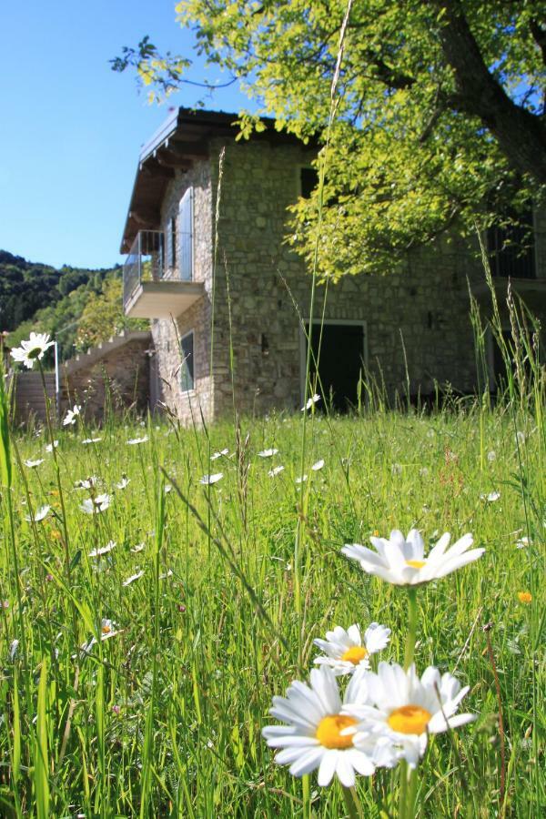 Ca Del Gari Villa Tremosine Luaran gambar